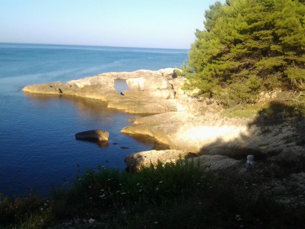 Guest House Aldin Ulcinj Esterno foto