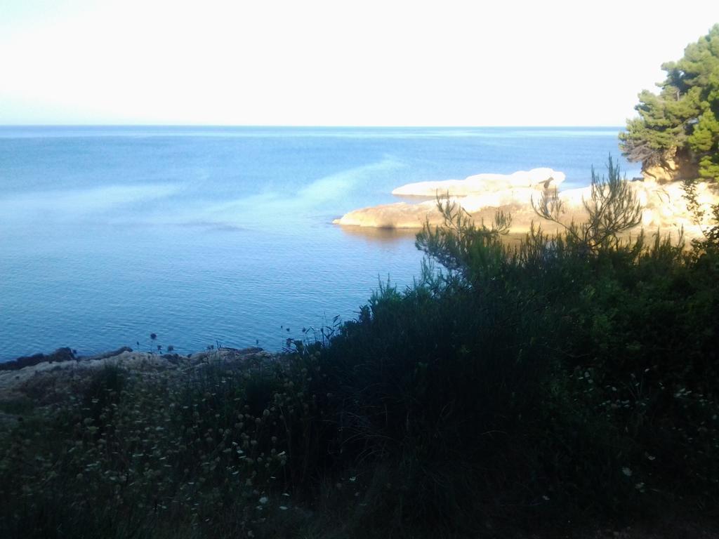 Guest House Aldin Ulcinj Esterno foto